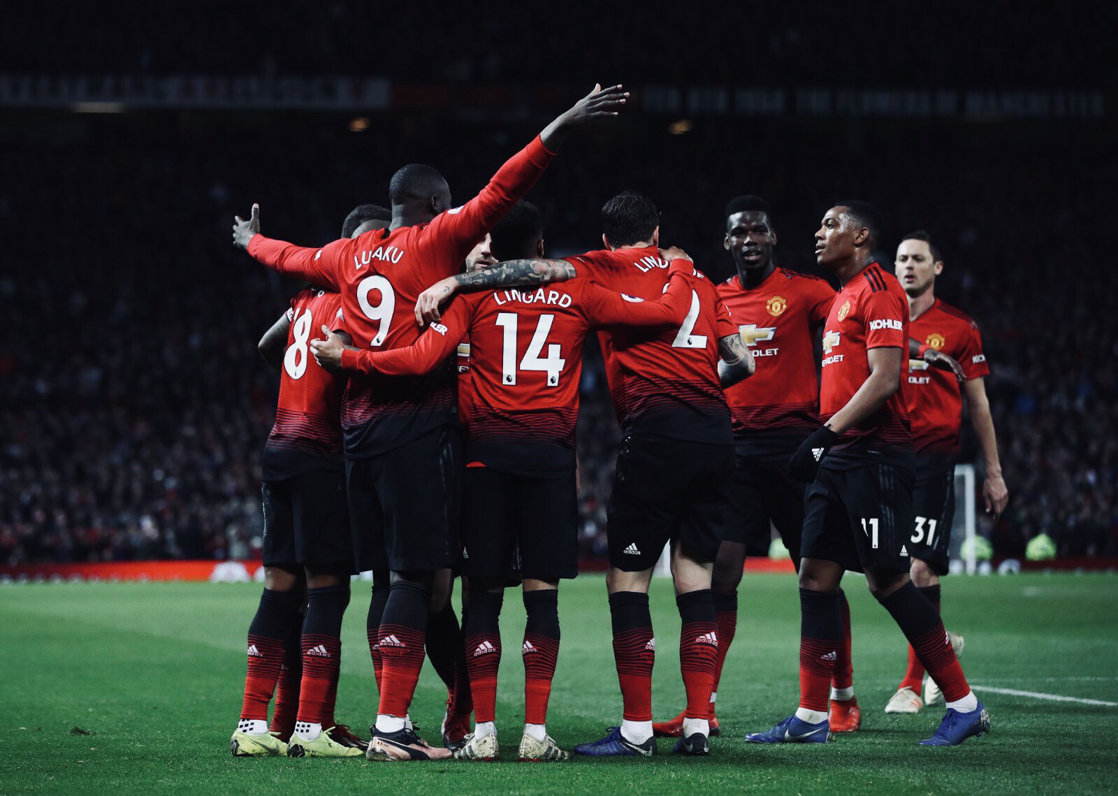 确定因素 确定因素